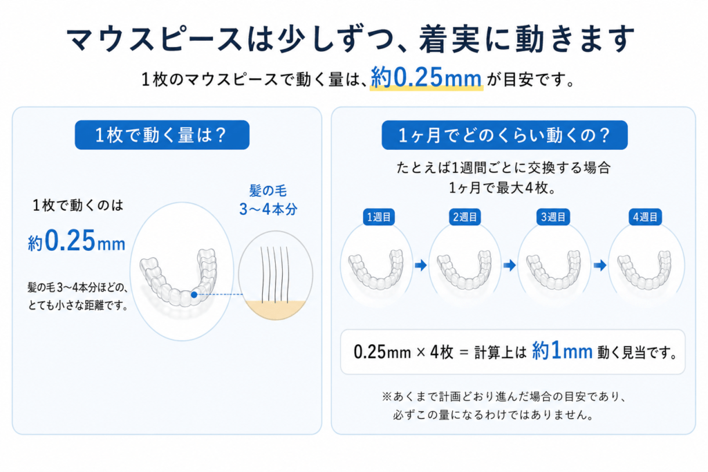 「1日で動く」「1枚でどれくらい」は本当？よくある疑問に回答