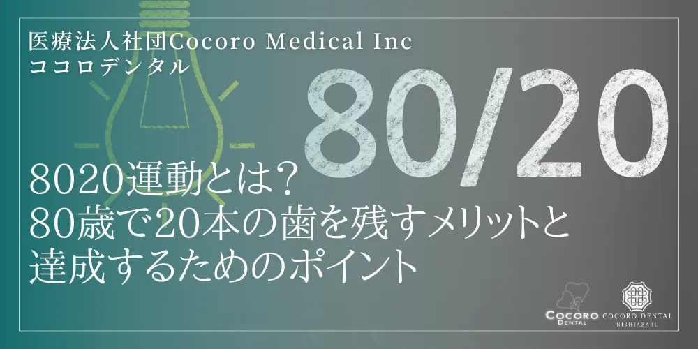 8020運動とは？80歳で20本の歯を残すメリットと達成するためのポイント