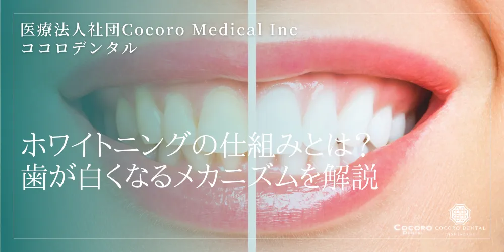 ホワイトニングの仕組みとは？歯が白くなるメカニズムを解説